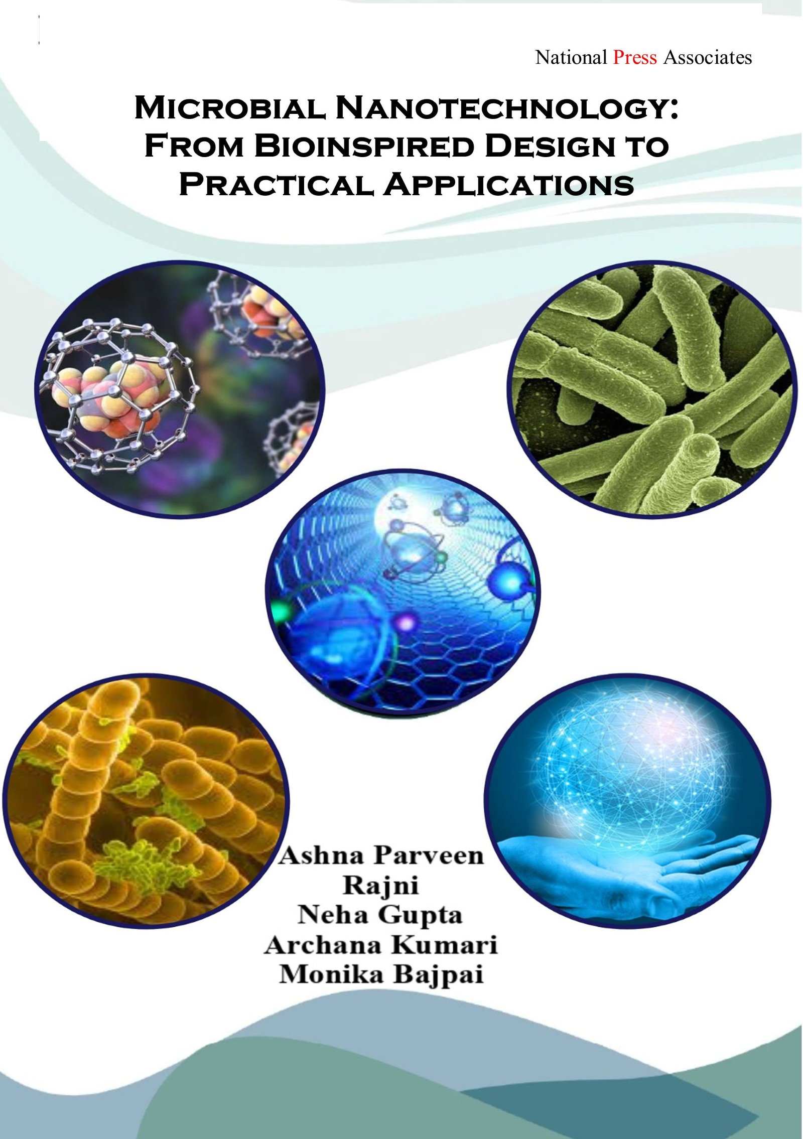 Microbial Nanotechnology: From Bioinspired Design to Practical Applications